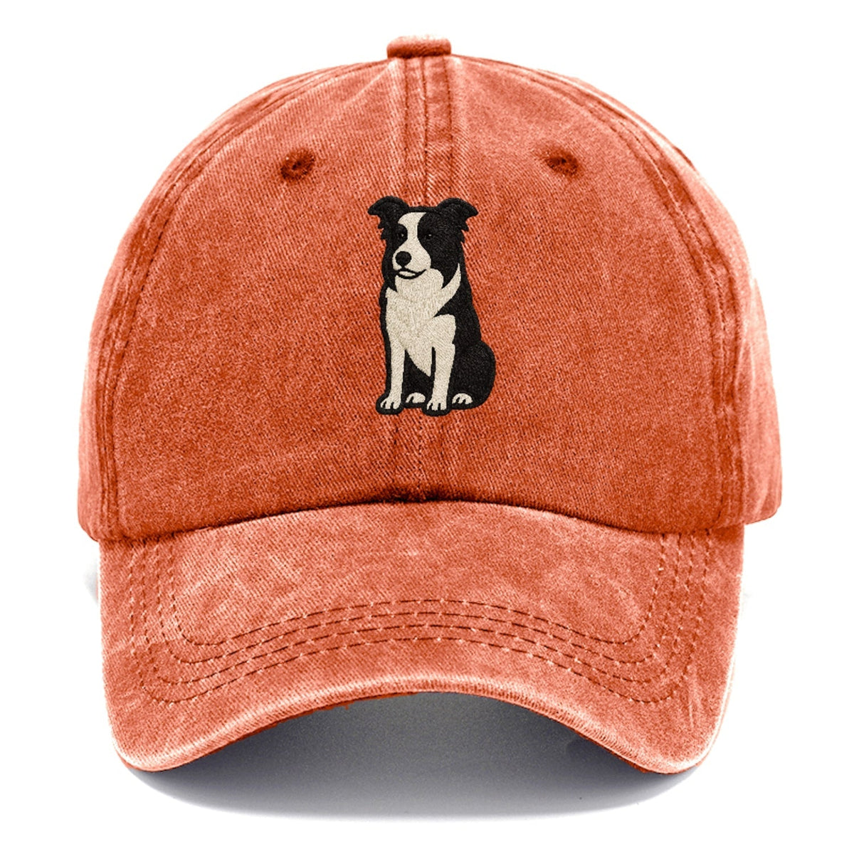 Border Collie Intense Focus Classic Cap