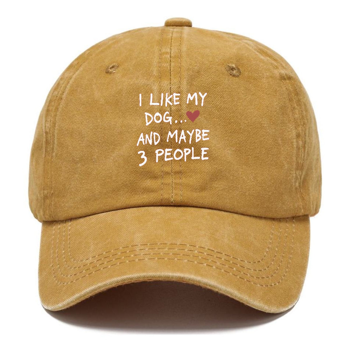 I Like My Dog And Maybe 3 People Classic Cap