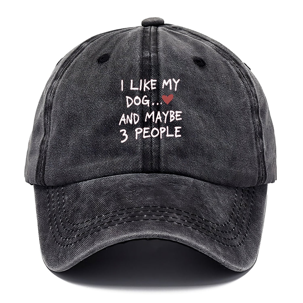 I Like My Dog And Maybe 3 People Classic Cap