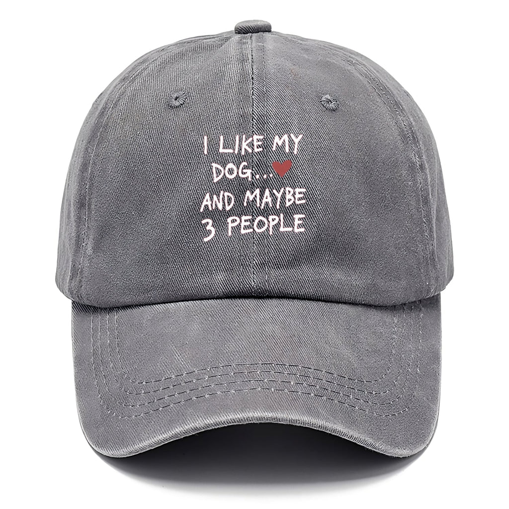 I Like My Dog And Maybe 3 People Classic Cap